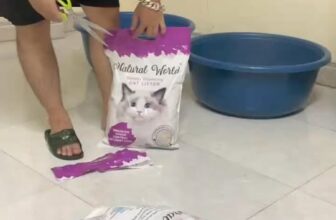 [🆕🇻🇳] Cát vệ sinh và Thức ăn chó mèo Hạ Long 🐶🦜 Top1Pets 🐱🐠 𝟒 TIPS 𝐒Ử 𝐃Ụ𝐍𝐆 𝐂Á𝐓 𝐌È𝐎 𝐇𝐈Ệ𝐔 𝐐𝐔Ả – 𝐓𝐈Ế𝐓 𝐊𝐈Ệ𝐌Nếu Sen đang gặp tình trạng:
Cát nhanh hết sau một thời gian ngắn sử dụng , shares-0✔️ , likes-0❤️️ , date-2024-05-10 04:30:15🐶🐱🇻🇳🇻🇳🇻🇳📰🆕