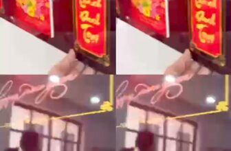 [🆕🇻🇳] Dịch vụ in ấn giá rẻ. Lịch Tết, Ấn phẩm, Quà tặng giá tốt 🎨 Top1Designs ✨   IN LỊCH MÃ ĐÁO THÀNH CÔNG – BIỂU TƯỢNG CỦA MAY MẮN VÀ THỊNH VƯỢNG NĂM MỚI!Ảnh chụp thật sắc nét – Sinh động đến từng chi tiết: Với hình ảnh đàn ngựa m , shares-0✔️ , likes-36❤️️ , date-2024-09-09 23:34:12🇻🇳🇻🇳🇻🇳📰🆕