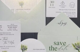 [🆕🇻🇳] Thiệp cưới Bảo Quân Nha Trang – Thiệp đẹp giá rẻ, in trực tiếp  🎨 Top1Designs ✨  Hai thứ quan trọng của đời người: Một là chuẩn bị cho sự nghiệp, hai là tìm kiếm một tình yêu. Khi mặt trời mọc sẽ dồn sức vào sự nghiệp, khi mặt trời lặn  , shares-0✔️ , likes-3❤️️ , date-2024-12-21 04:31:51🇻🇳🇻🇳🇻🇳📰🆕