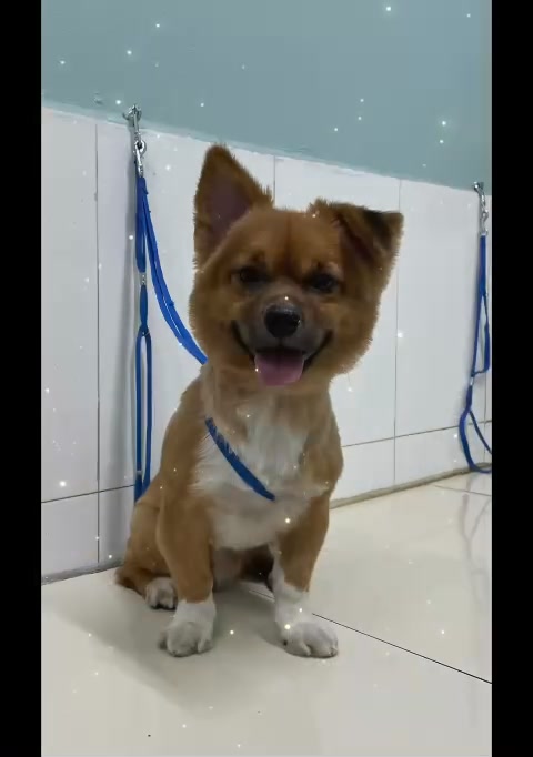 [🆕🇻🇳] Munn’s House – Life is beautiful 👕 Top1Fashion 👗  Munn’s House đã thêm ảnh vào album: Sale đồng giá 65k – mua 3 sp freeship nội thành SG
, shares-0✔️ , likes-1❤️️ , date-2024-12-31 22:39:10🇻🇳🇻🇳🇻🇳📰🆕