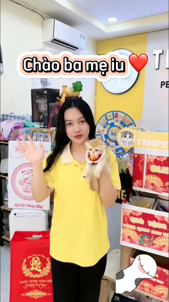 [🆕🇻🇳] Tem Pet 2 – Tiệm mèo anh 🐶🦜 Top1Pets 🐱🐠 Tết đến cận kề, sao không rước một bé iu về?  #tiemmeoanhTemPet #petcare #viral , shares-0✔️ , likes-1❤️️ , date-2025-01-10 19:58:57🐶🐱🇻🇳🇻🇳🇻🇳📰🆕
