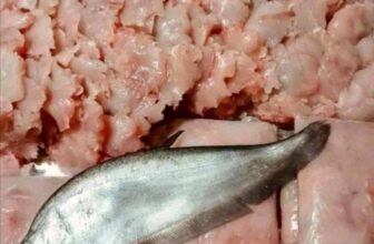 [🆕🇻🇳] Chả Cá Thác Lát Tươi – Chuyên cung cấp sỉ & lẻ chả cá và các mặt hàng tươi chất chất lượng 100% 🍔 Top1Food  🍜 GIẢM SỐC – MIỄN PHÍ SHIP TỪ 2KY
Cá thác lác NẠO 140k/ký NGUYÊN CHẤT
Chả cá Nha Trang 110k/ký loại 1
Giò thủ xào Hà Nội Loại 1 130k/ký
Giò bê Nghệ A , shares-2✔️ , likes-76❤️️ , date-2025-01-15 21:16:27🇻🇳🇻🇳🇻🇳📰🆕