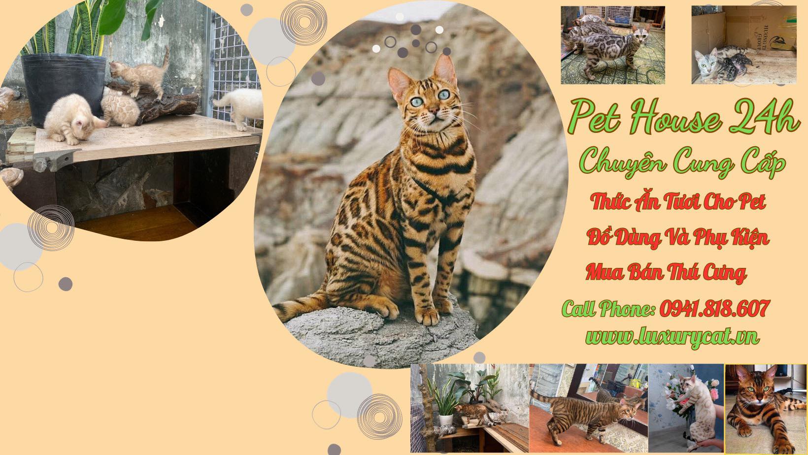 [🆕🇻🇳] Pet House 24H 🐶🦜 Top1Pets 🐱🐠 Pet House 24H đã cập nhật ảnh bìa của họ.
, shares-0✔️ , likes-5❤️️ , date-2023-12-25 16:38:58🐶🐱🇻🇳🇻🇳🇻🇳📰🆕