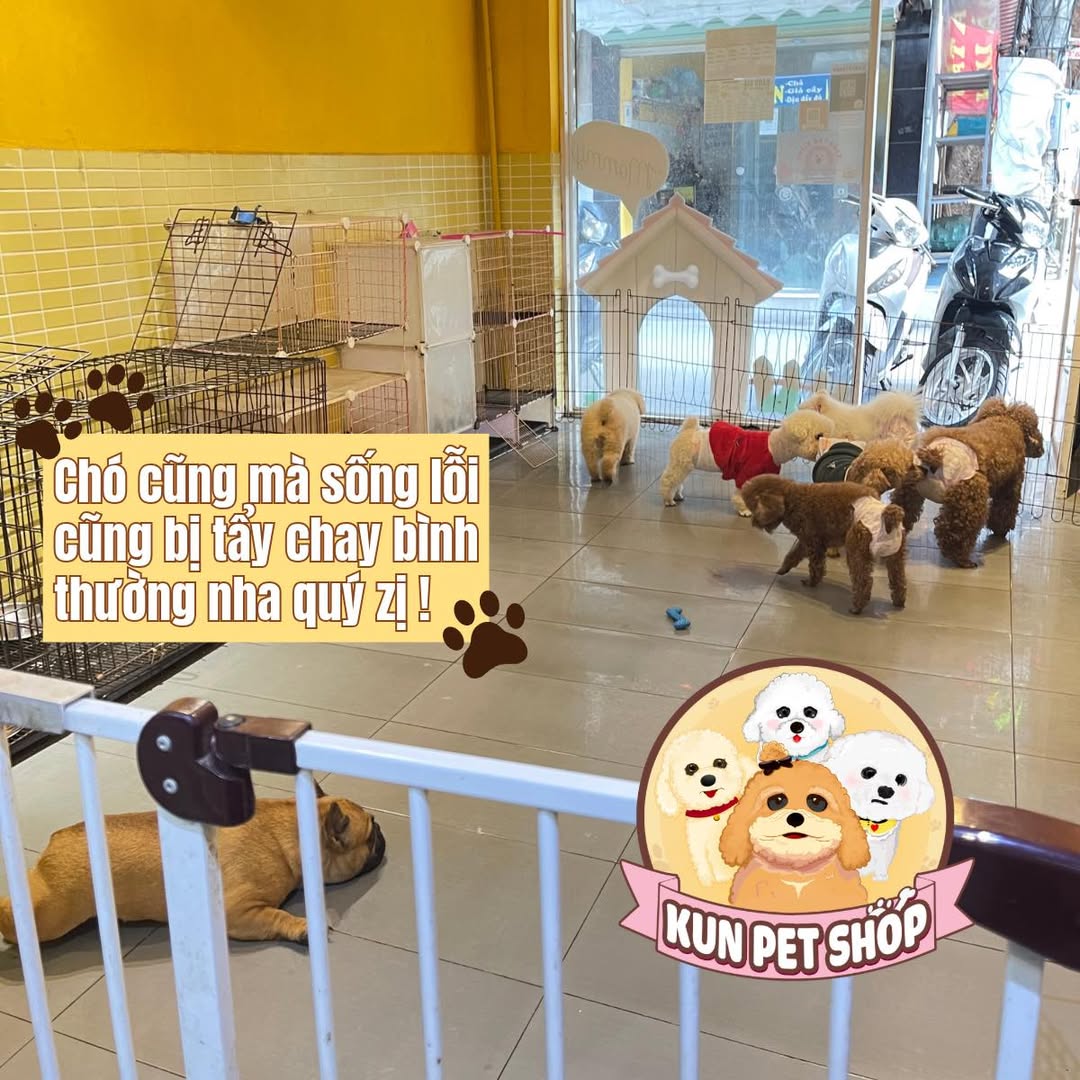 [🆕🇻🇳] KUN PET SHOP_Spa&Hotel cho thú cưng 🐶🦜 Top1Pets 🐱🐠 Chúng em nghỉ lễ rồi nhé ạ! KHÁCH SẠN HOẠT ĐỘNG XUYÊN TẾT mùng 6 âm cửa hàng hoạt động lại bình thường ạ
CHÚC QUÝ KHÁCH HÀNG MỘT NĂM MỚI AN KHANG THỊNH VƯỢ , shares-0✔️ , likes-1❤️️ , date-2025-01-27 23:04:00🐶🐱🇻🇳🇻🇳🇻🇳📰🆕