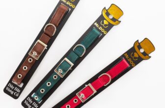 [🆕🇻🇳] Mr.Dog – Nhà Sản Xuất Phụ Kiện Chó Mèo 🐶🦜 Top1Pets 🐱🐠 𝐵𝑎̣𝑛 𝑐𝑎̂̀𝑛 𝑛𝑔𝑢𝑜̂̀𝑛 ℎ𝑎̀𝑛𝑔 𝑃𝐸𝑇 m𝑎n𝑔 𝑙ạ𝑖 𝑛g𝑢ồ𝑛 𝐿Ợ𝐼 𝑁H𝑈Ậ𝑁 𝐶A𝑂, 𝑡𝑎̣𝑜 𝑠𝑢̛̣ đ𝑜̣̂𝑡 𝑝ℎ𝑎́ 𝐶𝐻𝐴̂́𝑇 𝐿𝑈̛𝑂̛̣𝑁𝐺 𝑡𝑟𝑒̂𝑛 𝑡ℎ𝑖̣ 𝑡𝑟𝑢̛𝑜̛̀𝑛𝑔 𝑣𝑎̀ 𝐾𝐻𝐴́𝐶 𝐵𝐼𝐸̣̂𝑇 𝑣𝑒̂̀ 𝑠𝑎̉𝑛 𝑝ℎ𝑎̂̉𝑚 ℎ𝑎̃𝑦 , shares-32✔️ , likes-277❤️️ , date-2024-06-14 19:20:46🐶🐱🇻🇳🇻🇳🇻🇳📰🆕