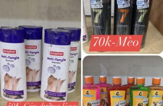 [🆕🇻🇳] Beily Store – Phụ kiện thú cưng 🐶🦜 Top1Pets 🐱🐠 Siêu sale ạ. Order ngay thui ạ!!!!
Shopee:
Hotline/zalo :08.6807.3883
#BeilyStore #Phụ_Kiện_Thú_Cưng
, shares-5✔️ , likes-4❤️️ , date-2024-03-22 13:50:34🐶🐱🇻🇳🇻🇳🇻🇳📰🆕