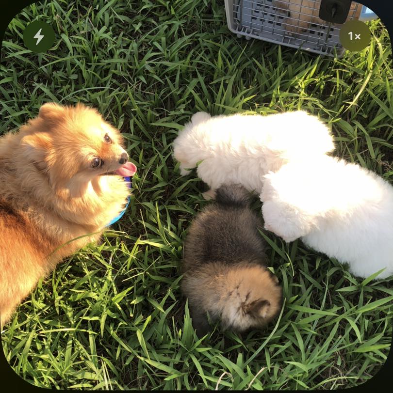 [🆕🇻🇳] In Ấn Huy Phát – Dịch vụ in ấn 🎨 Top1Designs ✨   𝐈𝐍 𝐋𝐈̣𝐂𝐇 𝐓𝐄̂́𝐓 – 𝐋𝐈̣𝐂𝐇 𝐓𝐑𝐄𝐎 𝐓𝐔̛𝐎̛̀𝐍𝐆 𝐋𝐎̀ 𝐗𝐎Dịp cuối năm cũng là mùa in lịch tết mới. Xưởng in lịch tết Huy Phát xin trân trọng gửi đến Quý khách hàng  , shares-15✔️ , likes-920❤️️ , date-2024-10-07 07:01:31🇻🇳🇻🇳🇻🇳📰🆕