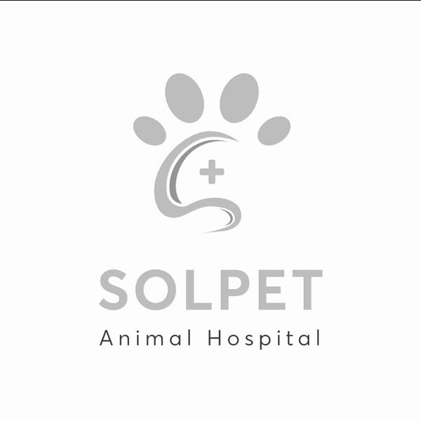 [🆕🇻🇳] Bệnh viện thú y Solpet Trần Khát Chân (522 Trần Khát Chân) 🐶🦜 Top1Pets 🐱🐠 Bệnh viện thú y Solpet Trần Khát Chân đã cập nhật ảnh đại diện của mình.
, shares-0✔️ , likes-4❤️️ , date-2024-07-20 02:49:38🐶🐱🇻🇳🇻🇳🇻🇳📰🆕