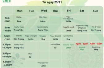 [🆕🇻🇳] Mint Care HCM 🧘 Top1Yoga 🤸🏻‍♀️ Cơ thể chúng ta sẽ ghi nhớ những cảm xúc và trải nghiệm mà chúng ta trải qua mỗi ngày
Mỗi một ngày trôi qua, bạn dành bao nhiêu thời gian sống chậm lại và  , shares-0✔️ , likes-2❤️️ , date-2024-11-25 02:30:14🇻🇳🇻🇳🇻🇳📰🆕