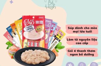 [🆕🇻🇳] Bé High Petshop 🐶🦜 Top1Pets 🐱🐠  Khám phá ngay Soup thưởng Ciao với thịt cá thật để mang lại cho mèo của bạn một bữa ăn ngon miệng và giàu dinh dưỡng!Được chế biến từ thịt cá thật chấ , shares-6✔️ , likes-8❤️️ , date-2024-06-15 21:22:01🐶🐱🇻🇳🇻🇳🇻🇳📰🆕