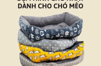 [🆕🇻🇳] Lady Pets – Luôn đồng hành cùng Sen 🐶🦜 Top1Pets 🐱🐠   Đệm Thú Cưng Siêu Êm Ái – Ngủ Ngon Mỗi Ngày!Đừng để các bé yêu phải co ro trong cái lạnh, hãy mang đến cho chúng sự thoải mái tuyệt vời với Đệm Thú Cưn , shares-0✔️ , likes-5❤️️ , date-2024-11-19 02:05:17🐶🐱🇻🇳🇻🇳🇻🇳📰🆕