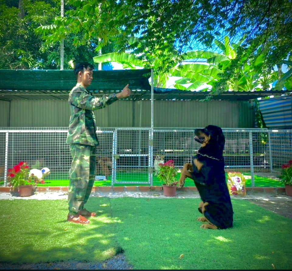 [🆕🇻🇳] Bonnie Kid – Thời trang trẻ em 🧑‍🧒❤️️👶⭐️  , shares-0✔️ , likes-1❤️️ , date-2024-08-16 17:32:21🇻🇳🇻🇳🇻🇳📰🆕