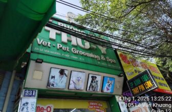 [🆕🇻🇳] Phòng khám Thú – Y CityVet Quận 12 🐶🦜 Top1Pets 🐱🐠 Tết sum vầy cùng Pedigree & Whiskas
#MyWhiskasPedigree2025
, shares-0✔️ , likes-5❤️️ , date-2025-02-03 23:43:12🐶🐱🇻🇳🇻🇳🇻🇳📰🆕