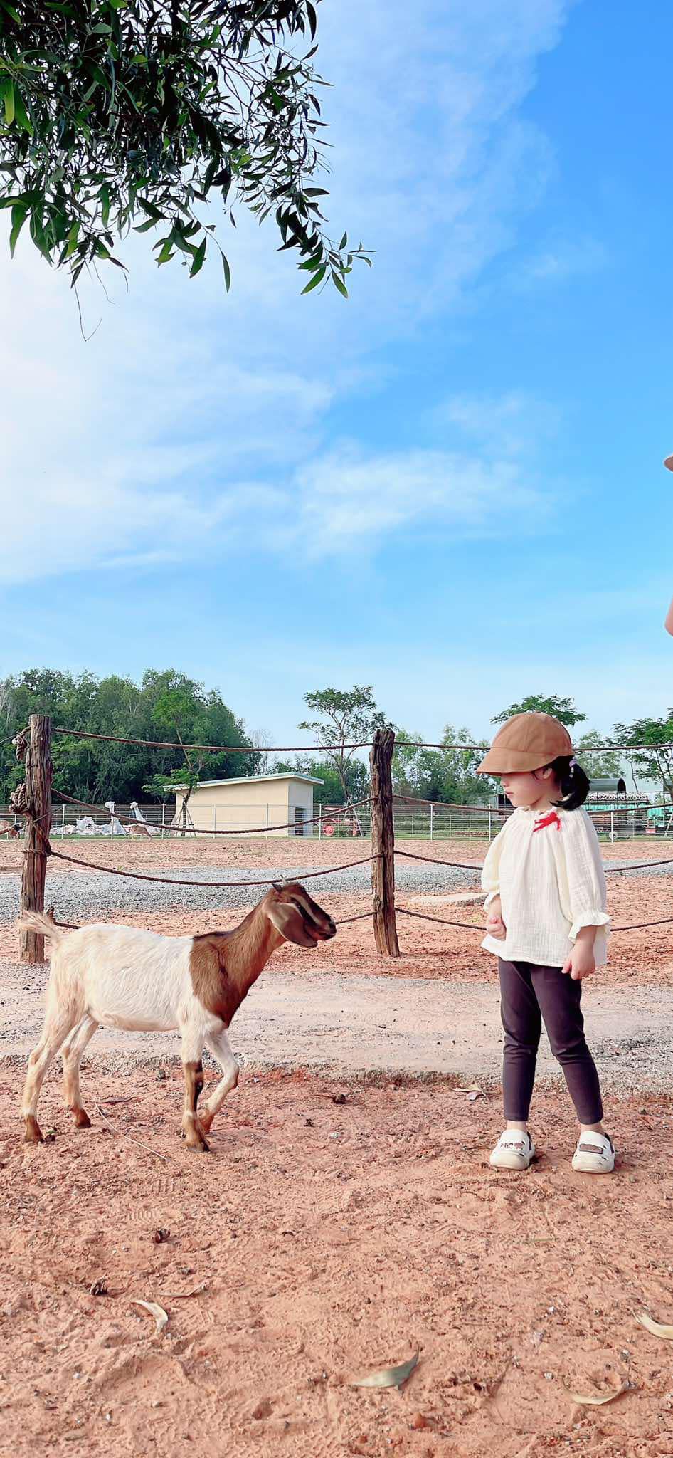 [🆕🇻🇳]  Ben Shop – Mẹ và Bé – ĐỒ SƠ SINH – Đồ Dùng Cho Bé và Mẹ Sau Sinh 🧑‍🧒❤️️👶⭐️ Mẹ vào đây lựa đồ Đầy tháng, thôi nôi, sinh nhật, đi chơi, đi tiệc…. Cho các hoàng tử bé nhà mình đi ạ
Hàng QC CC, hàng thiết kế có sẵn tại #BenShop ạ

# , shares-0✔️ , likes-0❤️️ , date-2025-01-18 21:00:51🇻🇳🇻🇳🇻🇳📰🆕
