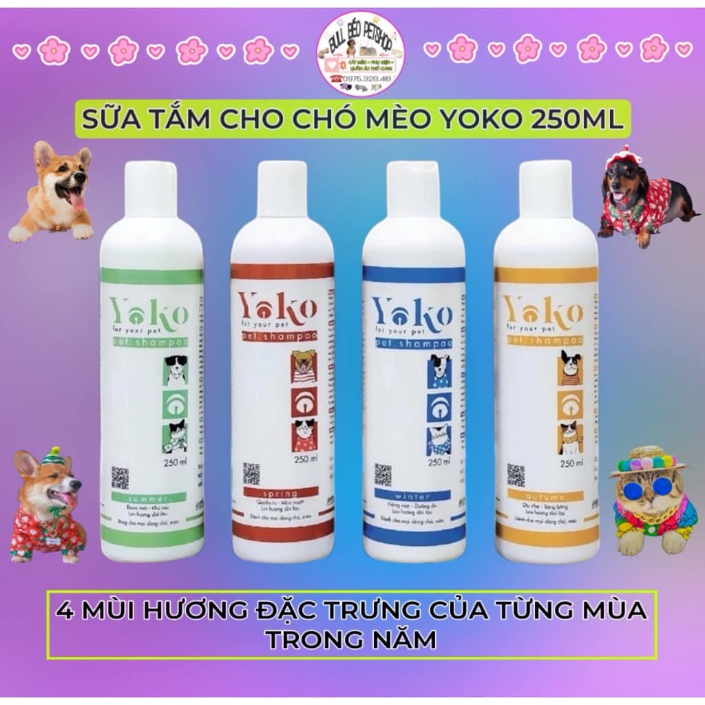[🆕🇻🇳] BULL BÉO Petshop  🐶🦜 Top1Pets 🐱🐠  Sữa Tắm Dưỡng Lông Cho Chó YOKO 4 Mùi Hương Thơm Tự Nhiên 250ML –  Hàng Chính Hãng
Dung tích: 250ml
Xuất xứ: Việt Nam
Sản phẩm dùng được cho tất cả cá , shares-0✔️ , likes-2❤️️ , date-2024-04-18 13:54:34🐶🐱🇻🇳🇻🇳🇻🇳📰🆕