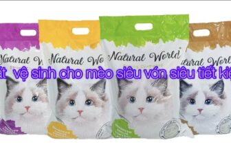 [🆕🇻🇳] Cát Vệ Sinh Cho Mèo Giá Rẻ Hải Phòng 🐶🦜 Top1Pets 🐱🐠 Cát Vệ Sinh Cho Mèo Đất Sét – Giải Pháp Tối Ưu Cho Chú Mèo Cưng!Bạn có biết? Một chú mèo khỏe mạnh và hạnh phúc bắt đầu từ môi trường sạch sẽ! Với cát v , shares-0✔️ , likes-3❤️️ , date-2025-03-22 01:16:01🐶🐱🇻🇳🇻🇳🇻🇳📰🆕