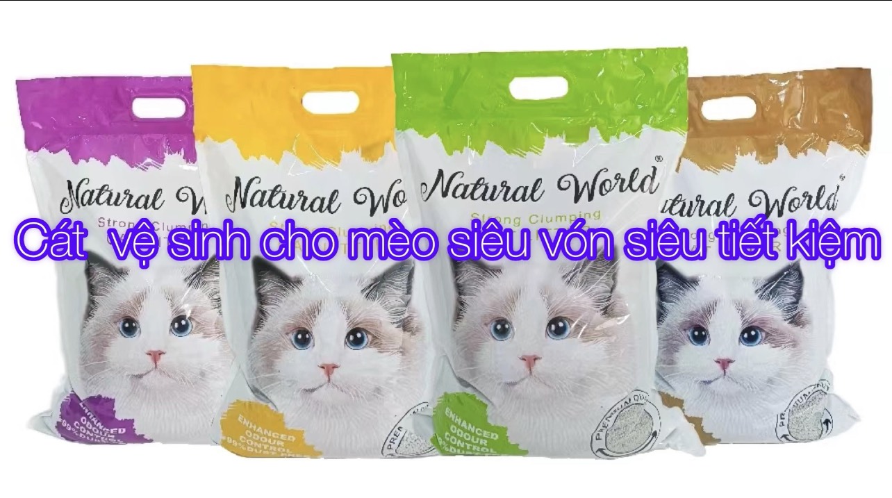 [🆕🇻🇳] Cát Vệ Sinh Cho Mèo Hải Phòng 🐶🦜 Top1Pets 🐱🐠 Bạn có một chú mèo cưng và luôn muốn mang đến cho nó môi trường sống sạch sẽ và thoải mái? Cát vệ sinh cho mèo đất sét chính là lựa chọn hoàn hảo cho bạn!  , shares-0✔️ , likes-1❤️️ , date-2025-03-22 01:11:05🐶🐱🇻🇳🇻🇳🇻🇳📰🆕