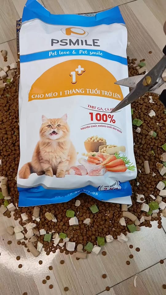 [🆕🇻🇳] Psmilevietnam – Thương hiệu chăm sóc thú cưng hàng đầu Việt Nam 🐶🦜 Top1Pets 🐱🐠 Hạt Psmile công thức mới siêu nhiều toping giá không thay đổi
#psmile #hatpsmile  #hatchomeo , shares-0✔️ , likes-3❤️️ , date-2025-03-29 05:19:29🐶🐱🇻🇳🇻🇳🇻🇳📰🆕