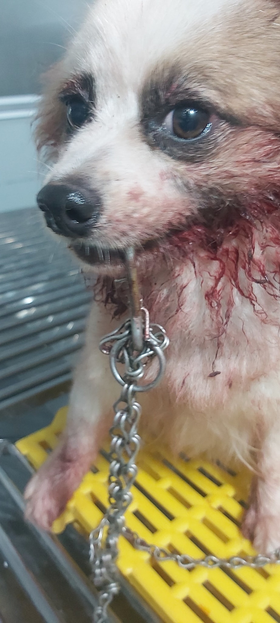 [🆕🇻🇳] XinhStory – Chuyên sỉ & lẻ đầm bầu & đồ bộ bầu, đầm bầu trước và sau sinh cho con bú, đồ sơ sinh, đồ lót bầu..Hàng nhập 100% 👕 Top1Fashion 👗  Ảnh này không cần cap
Vì đầm nhà em chính là nội dung
, shares-0✔️ , likes-1❤️️ , date-2024-05-08 14:26:16🇻🇳🇻🇳🇻🇳📰🆕