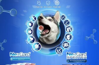 [🆕🇻🇳] Bệnh viện thú y Ninh Bình 🐶🦜 Top1Pets 🐱🐠 Để cún cưng của bạn sạch bóng ve, rận, ký sinh trùng. Hãy sử dụng viên nhai vị thịt bò Nexgard & Nexgard Spectra hàng tháng để mang lại hiệu quả tốt nhất:
, shares-0✔️ , likes-3❤️️ , date-2024-08-18 03:56:42🐶🐱🇻🇳🇻🇳🇻🇳📰🆕