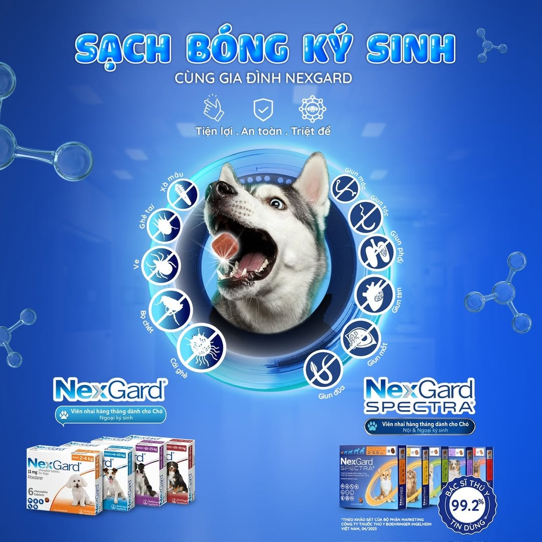 [🆕🇻🇳] Bệnh viện thú y Ninh Bình 🐶🦜 Top1Pets 🐱🐠 Để cún cưng của bạn sạch bóng ve, rận, ký sinh trùng. Hãy sử dụng viên nhai vị thịt bò Nexgard & Nexgard Spectra hàng tháng để mang lại hiệu quả tốt nhất:
, shares-0✔️ , likes-3❤️️ , date-2024-08-18 03:56:42🐶🐱🇻🇳🇻🇳🇻🇳📰🆕