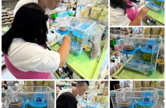 [🆕🇻🇳] Hamster Miền Đất Hứa 🐶🦜 Top1Pets 🐱🐠 CẨM NANG “ SỐNG CÒN”  CHO HAMSTER ROBO LÚC NÀY
Những ngày oi bức, nắng gắt là thử thách lớn với hamster robo khiến các bé khó chịu hoặc thậm chí gặp nguy h , shares-0✔️ , likes-0❤️️ , date-2025-04-10 14:43:48🐶🐱🇻🇳🇻🇳🇻🇳📰🆕