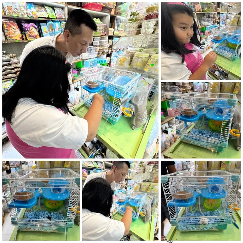 [🆕🇻🇳] Hamster Miền Đất Hứa 🐶🦜 Top1Pets 🐱🐠 CẨM NANG “ SỐNG CÒN”  CHO HAMSTER ROBO LÚC NÀY
Những ngày oi bức, nắng gắt là thử thách lớn với hamster robo khiến các bé khó chịu hoặc thậm chí gặp nguy h , shares-0✔️ , likes-0❤️️ , date-2025-04-10 14:43:48🐶🐱🇻🇳🇻🇳🇻🇳📰🆕