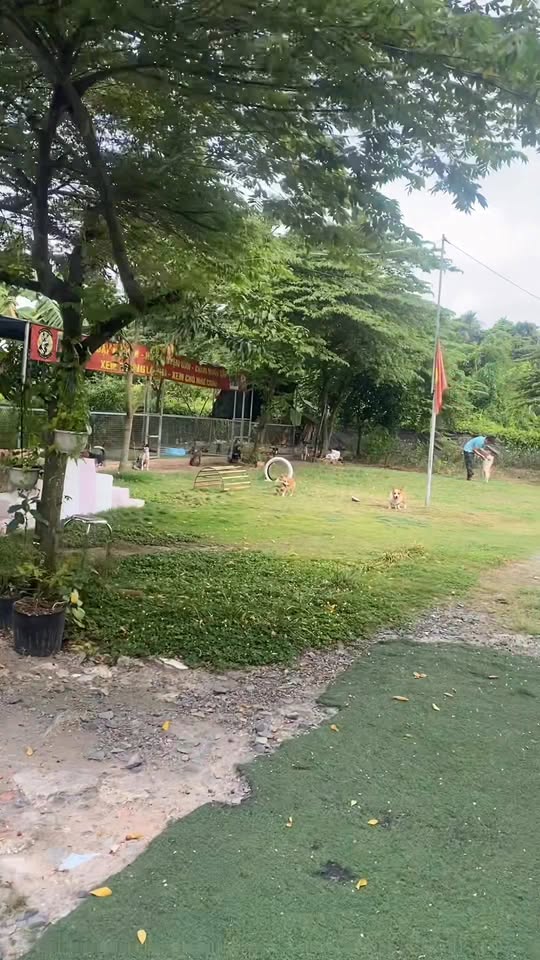 [🆕🇻🇳] Giấy in nhiệt giá rẻ Thanh Hóa – Chuyên cung cấp máy in, giấy in nhiệt giá rẻ 🎨 Top1Designs ✨  Decal Nhiệt Đơn Hàng Thanh Hóa 100×150 mm, Tiệp
Cuộn giấy chuyên dùng cho các máy in nhiệt, in tem nhãn dán vỏ thùng các loại, in mã vạch
– In rõ nét
, shares-0✔️ , likes-1❤️️ , date-2025-04-23 14:00:19🇻🇳🇻🇳🇻🇳📰🆕