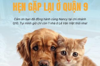 [🆕🇻🇳] Nancy Pet House – Spa Hotel & More 🐶🦜 Top1Pets 🐱🐠 MỘT LỜI TẠM BIỆT GỬI CÁC SEN Q10Tụi mình biết… bài viết này có thể khiến một vài Sen thấy chạnh lòng như lúc tụi mình lúc viết…Chi nhánh 107/5 đường , shares-0✔️ , likes-14❤️️ , date-2025-04-14 16:41:54🐶🐱🇻🇳🇻🇳🇻🇳📰🆕
