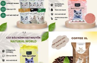 [🆕🇻🇳] Cát Vệ Sinh Cho Mèo Hải Phòng 🐶🦜 Top1Pets 🐱🐠 Bạn có một chú mèo cưng và luôn muốn mang đến cho nó môi trường sống sạch sẽ và thoải mái? Cát vệ sinh cho mèo đất sét chính là lựa chọn hoàn hảo cho bạn!  , shares-0✔️ , likes-1❤️️ , date-2025-03-22 01:11:05🐶🐱🇻🇳🇻🇳🇻🇳📰🆕