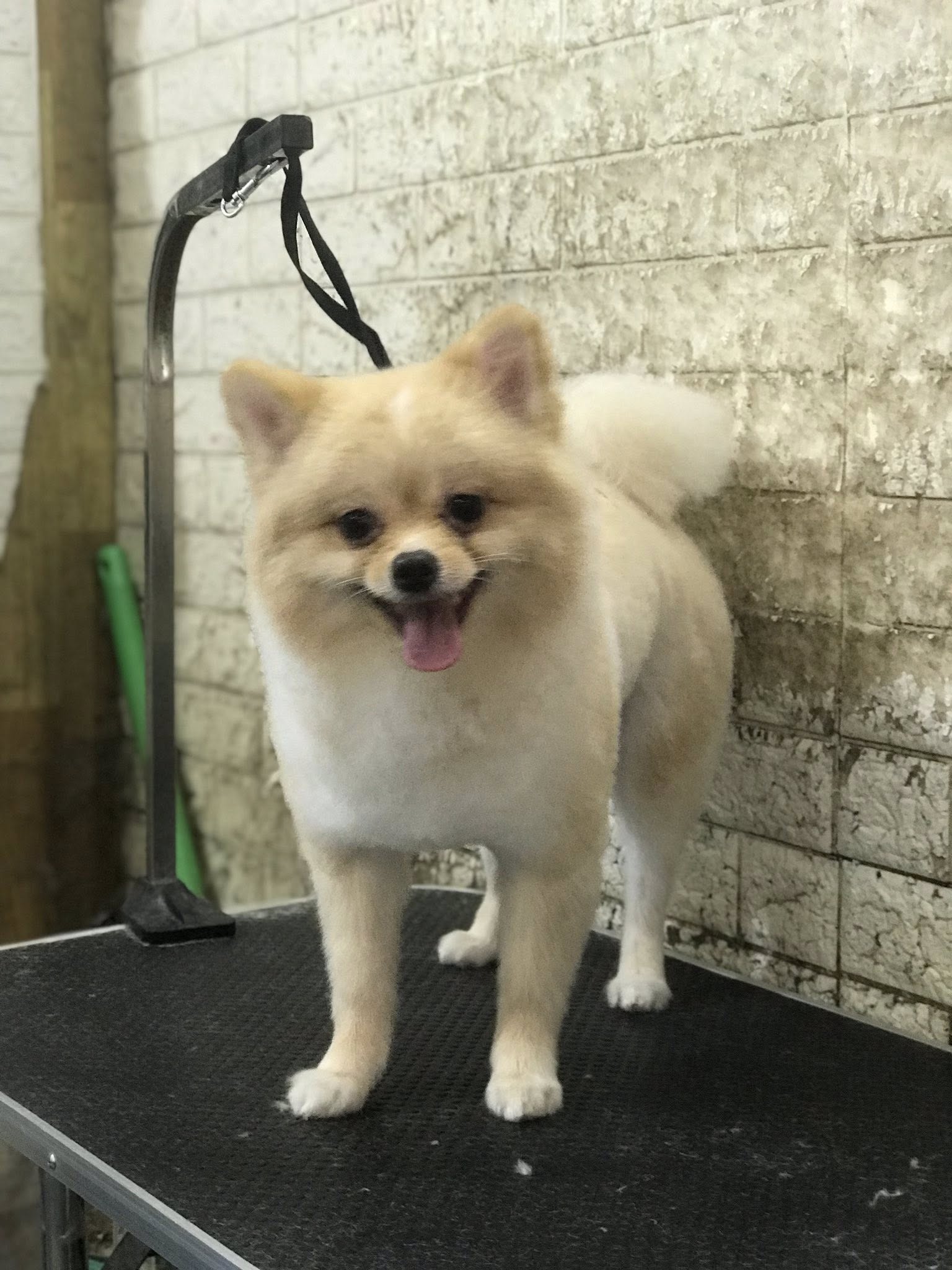 [🆕🇻🇳] Phòng khám Thú y NAN PET  🐶🦜 Top1Pets 🐱🐠 Nanpet vẫn làm đẹp, thiến, triệt sản, mổ đẻ cho các bé ạ
195 Ngô Xuân Quảng
0335 997 338
, shares-0✔️ , likes-6❤️️ , date-2025-04-21 02:54:16🐶🐱🇻🇳🇻🇳🇻🇳📰🆕