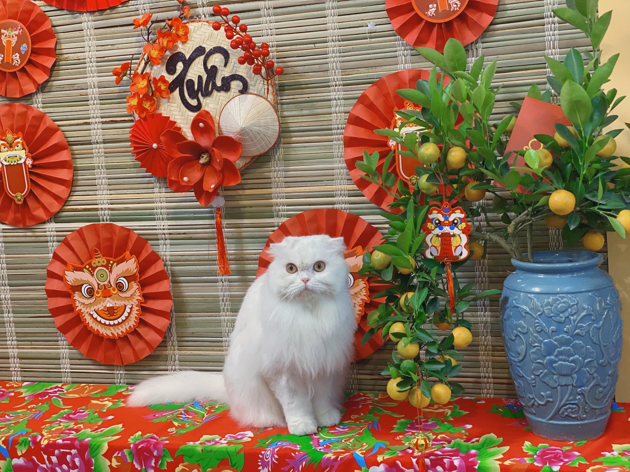 [🆕🇻🇳]  Thời Trang Trẻ Em – Chuyên phân phối thời trang, đồ chơi trẻ em sỉ, lẻ 🧑‍🧒❤️️👶⭐️ 5x/ bộ ạ
, shares-0✔️ , likes-1❤️️ , date-2025-01-17 00:27:14🇻🇳🇻🇳🇻🇳📰🆕