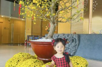 [🆕🇻🇳] Sora Chan Kid’s Clothing – Thời trang trẻ em thiết kế cao cấp 🧑‍🧒❤️️👶⭐️ Nơ xinh caro đỏ – sale 169k
Mỗi size chỉ còn sl 1 thôi ạ. Ib nhanh ba mẹ nhé
, shares-0✔️ , likes-0❤️️ , date-2025-01-12 17:20:27🇻🇳🇻🇳🇻🇳📰🆕