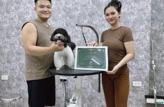 [🆕🇻🇳] Noobi Pet Shop 🐶🦜 Top1Pets 🐱🐠 Học sinh tốt nghiệp khóa lever C tự tin ra mở cửa hàng luôn nha
, shares-0✔️ , likes-4❤️️ , date-2024-09-17 17:06:55🐶🐱🇻🇳🇻🇳🇻🇳📰🆕