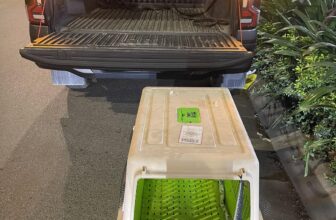 [🆕🇻🇳] Dịch Vụ Thú Y Tại Nhà – Gia Lâm 🐶🦜 Top1Pets 🐱🐠 Đưa đón các bạn chó to tận nhà ạ.
Khách cần alo em ạ
Dịch vụ thú y tại nhà Gia Lâm – Long Biên
0775688993
, shares-0✔️ , likes-0❤️️ , date-2025-05-04 03:21:27🐶🐱🇻🇳🇻🇳🇻🇳📰🆕