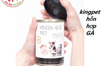 [🆕🇻🇳] DÂU DÂU PET SHOP 🐶🦜 Top1Pets 🐱🐠 Pate Hỗn Hợp Gà King’s Pet Lon 380g Thức Ăn Cho Chó Mèo
Nguyên liệu tự nhiên: Sử dụng nguồn cá biển tươi, thịt đùi gà & gan gà công nghiệp xuất xứ hoàn toà , shares-0✔️ , likes-4❤️️ , date-2024-04-07 05:10:05🐶🐱🇻🇳🇻🇳🇻🇳📰🆕