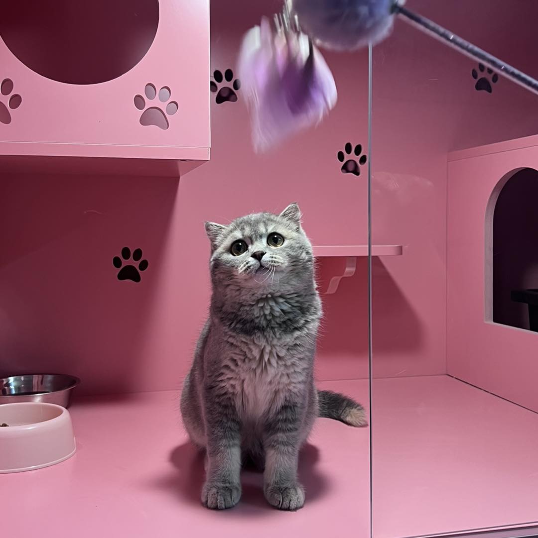 [🆕🇻🇳] She Slay 👕 Top1Fashion 👗  Các nàng đã có màu Nâu Mocha siu hot trend này trong tủ đồ chưa #Sheslay  #xuhuongreels #thoitrangnuhottrend #outfitideas #viralreels , shares-0✔️ , likes-0❤️️ , date-2025-05-08 01:33:37🇻🇳🇻🇳🇻🇳📰🆕