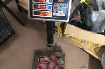 [🆕🇻🇳] Bệnh Viện Thú Y Tây Bắc 🐶🦜 Top1Pets 🐱🐠 bạn cún 7kg và khối tử cung viêm…
Tiếp tục là ca viêm tử cung do TIÊM thuốc TRÁNH THAI !!!
, shares-0✔️ , likes-7❤️️ , date-2025-05-13 20:14:16🐶🐱🇻🇳🇻🇳🇻🇳📰🆕