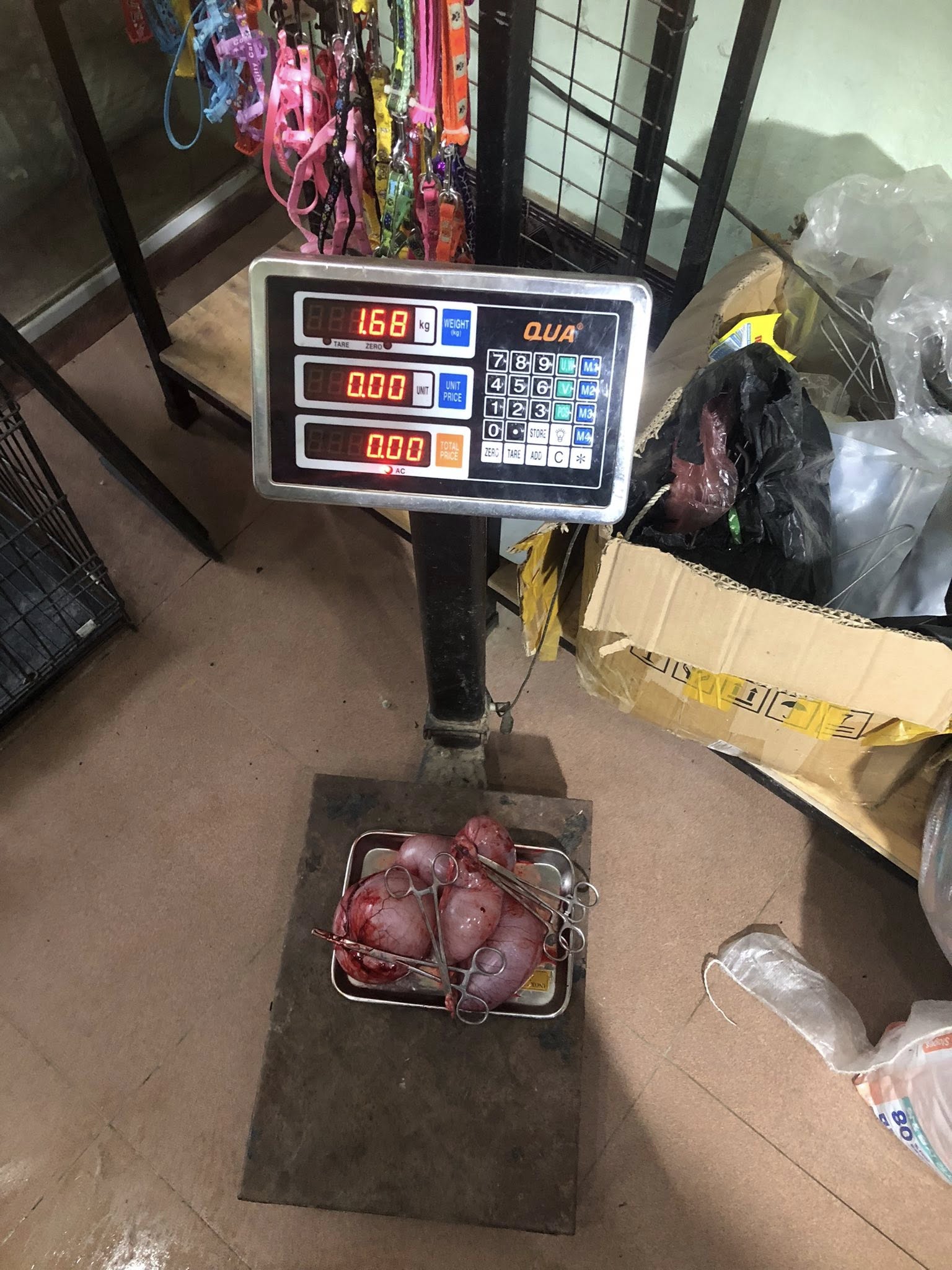 [🆕🇻🇳] Bệnh Viện Thú Y Tây Bắc 🐶🦜 Top1Pets 🐱🐠 bạn cún 7kg và khối tử cung viêm…
Tiếp tục là ca viêm tử cung do TIÊM thuốc TRÁNH THAI !!!
, shares-0✔️ , likes-7❤️️ , date-2025-05-13 20:14:16🐶🐱🇻🇳🇻🇳🇻🇳📰🆕