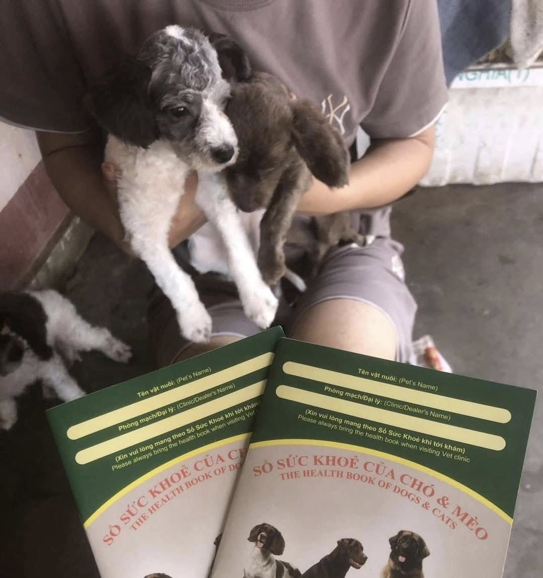 [🆕🇻🇳] Dịch Vụ Thú Y Tại Nhà Huế 🐶🦜 Top1Pets 🐱🐠 MUỐN CHĂM SÓC SỨC KHOẺ THÚ CƯNG THẬT TỐTĐầu tiên bạn phải TIÊM PHÒNG  đầy đủ cho pet
Ở : Tiêm ngừa vaccine phòng 5 bệnh, 7 bệnh truyền nhiễm
Ở : Tiêm  , shares-0✔️ , likes-0❤️️ , date-2025-05-17 00:00:05🐶🐱🇻🇳🇻🇳🇻🇳📰🆕