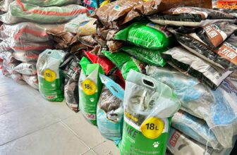 [🆕🇻🇳] Pet&Joi Petshop 🐶🦜 Top1Pets 🐱🐠 𝐁𝐚̃𝐨 𝐭𝐫𝐮̛̃ 𝐭𝐞̂́𝐭 𝐜𝐡𝐨 𝐛𝐨𝐬𝐬 𝐧𝐠𝐚𝐲 𝐡𝐨̂𝐦 𝐧𝐚𝐲 𝐭𝐡𝐨̂𝐢 𝐬𝐞𝐧 𝐨̛𝐢 !  , shares-0✔️ , likes-0❤️️ , date-2025-01-16 16:24:54🐶🐱🇻🇳🇻🇳🇻🇳📰🆕