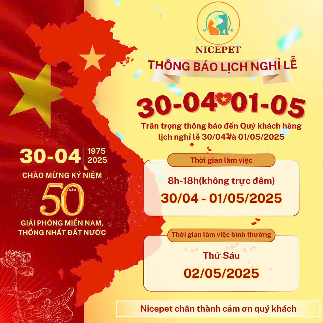 [🆕🇻🇳] Pet Oiii 🐶🦜 Top1Pets 🐱🐠 Pet Oiii đã cập nhật ảnh đại diện của mình.
, shares-0✔️ , likes-6❤️️ , date-2025-04-21 19:52:03🐶🐱🇻🇳🇻🇳🇻🇳📰🆕