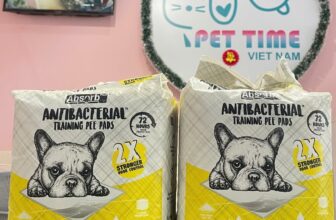 [🆕🇻🇳] Pet Time Vietnam – Dịch vụ spa, hotel và phụ kiện cho chó mèo 🐶🦜 Top1Pets 🐱🐠 Tã lót khay vệ sinh Absorb Plus Charcoal,TÃ LÓT VỆ SINH KHÁNG KHUẨN ABSORB CHO CHÓ MÈOTã lót khay vệ sinh Absorb Plus Charcoal thân thiện với môi trường, , shares-0✔️ , likes-0❤️️ , date-2025-05-28 19:00:38🐶🐱🇻🇳🇻🇳🇻🇳📰🆕