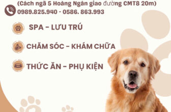 [🆕🇻🇳] Pet’s Home – Siêu Thị Thú Cưng 🐶🦜 Top1Pets 🐱🐠 Hè nóng như này cứ phải đi spa cho mát cái đã
, shares-0✔️ , likes-3❤️️ , date-2025-05-31 03:45:50🐶🐱🇻🇳🇻🇳🇻🇳📰🆕