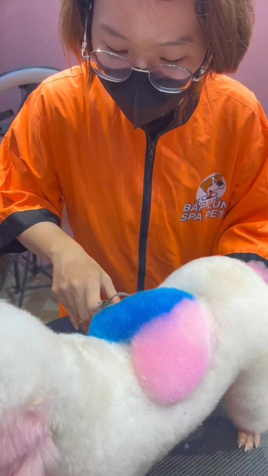 [🆕🇻🇳] Bắp Lùn Pet Spa – Chăm sóc thú cưng 🐶🦜 Top1Pets 🐱🐠 Học viên lần đầu tiên thực hành cắt tỉa + nhuộm trái tim 2 màu trên lông thú cưng,như vậy là quá xuất sắc rồi e ơiiĐịa chỉ :272/11 đường 30/4 Chánh Nghĩ , shares-0✔️ , likes-13❤️️ , date-2025-06-05 19:33:26🐶🐱🇻🇳🇻🇳🇻🇳📰🆕