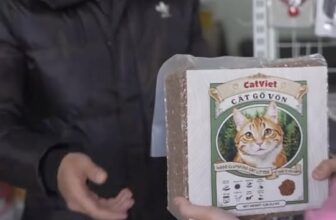 [🆕🇻🇳] Mr.Dog – Nhà Sản Xuất Phụ Kiện Chó Mèo 🐶🦜 Top1Pets 🐱🐠  BẠN YÊU MÈO – MUỐN KINH DOANH SẢN PHẨM AN TOÀN CHO THÚ CƯNG?Hãy trở thành ĐẠI LÝ CỦA CÁT VIỆT – thương hiệu cát vệ sinh từ Hải Phòng, được hàng ngàn ng , shares-0✔️ , likes-1❤️️ , date-2025-06-07 16:35:30🐶🐱🇻🇳🇻🇳🇻🇳📰🆕