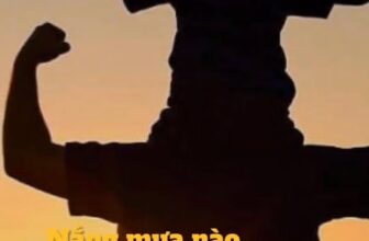 [🧸️🇻🇳] Đồ chơi gỗ Winwintoys 🎈Top1Toys🧸️  Có những yêu thương chẳng cần nói thành lời…
Có một người lặng thầm gánh cả bầu trời để ta được bình yên lớn lên.
Là Cha — người hùng lặng lẽ của cuộc đời  , shares-0✔️ , likes-10❤️️ , date-2025-06-15 21:06:28🇻🇳🇻🇳🇻🇳📰🆕