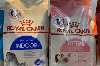 [🆕🇻🇳] Tiệm Chó Mèo An Yên 🐶🦜 Top1Pets 🐱🐠 Royal Canin cho mèo túi 2kg lúc nào cũng sẵn hàng nha khách ơi
, shares-0✔️ , likes-0❤️️ , date-2025-06-16 03:07:18🐶🐱🇻🇳🇻🇳🇻🇳📰🆕