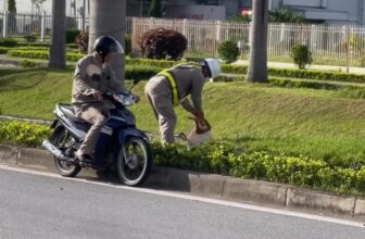[🆕🇻🇳] Pet Zone 🐶🦜 Top1Pets 🐱🐠 HƠN CẢ CẨU TẶC, GIỮA BAN NGÀY MÀ NHƯ VẬY ĐÂYNhững cú s-ú-t như trời giáng vào 1 chú cún, tôi nghĩ chú cún đi lạc vào nhà máy. Thật không may gặp những ng , shares-29✔️ , likes-179❤️️ , date-2025-06-24 09:04:29🐶🐱🇻🇳🇻🇳🇻🇳📰🆕