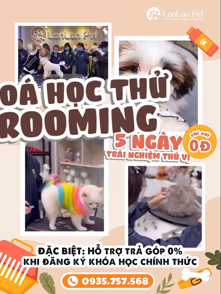 [🆕🇻🇳] Lanlan Pet – Nơi bạn hoàn toàn an tâm gửi gắm thú cưng của mình 🐶🦜 Top1Pets 🐱🐠 (English below)u2b07ufe0fnHu1eccC THu1eec GROOMING cho Thu00fa cu01b0ng MIu1ec4N PHu00cd UY Tu00cdN tu1ea1i thu00e0nh phu1ed1 Hu1ed3 Chu00ed , shares-0✔️ , likes-17❤️️ , date-2025-06-27 13:07:48🐶🐱🇻🇳🇻🇳🇻🇳📰🆕